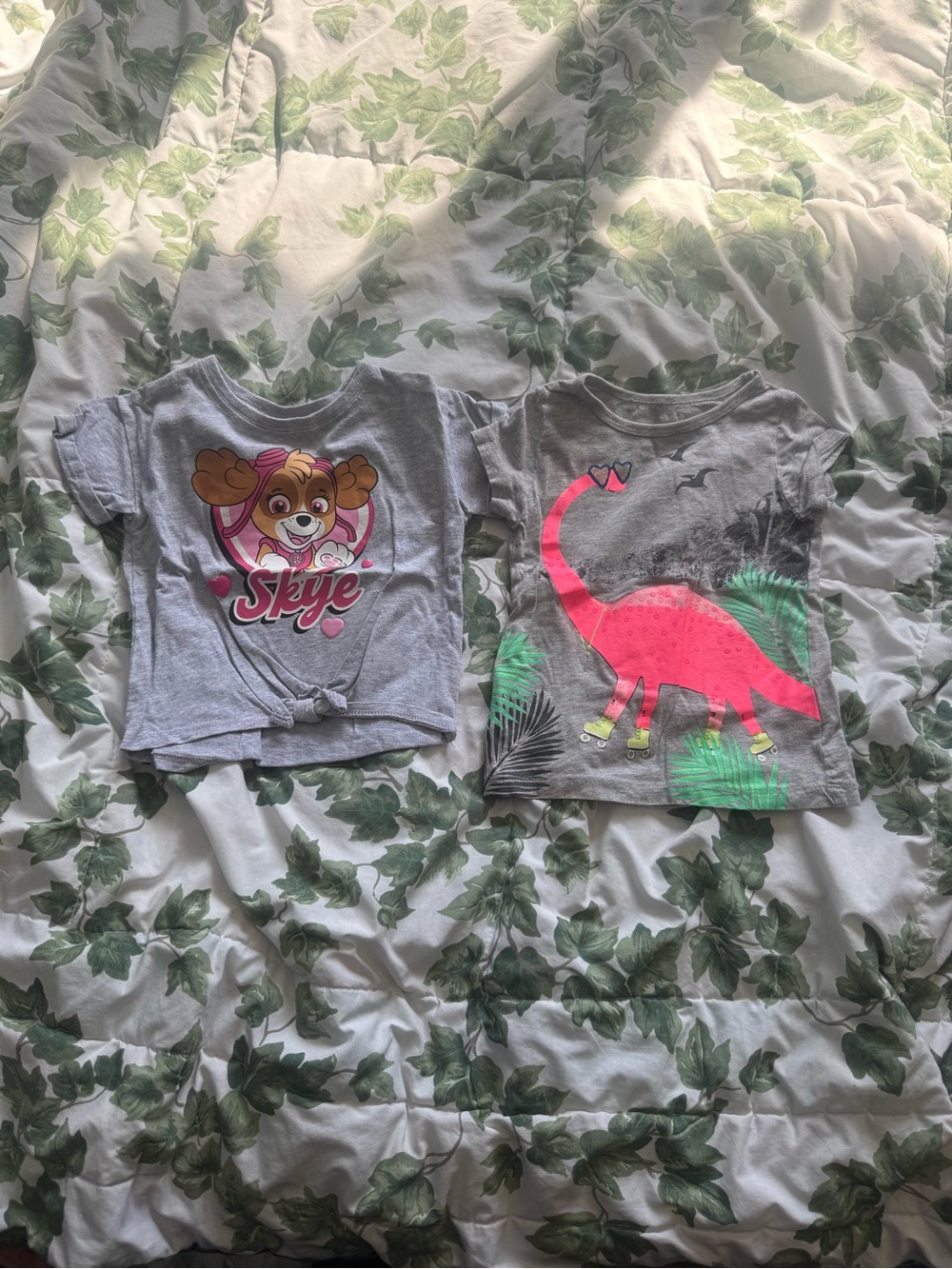 Nickelodeon Gray Kids Tee with Bright Pink Dinosaur Graphic